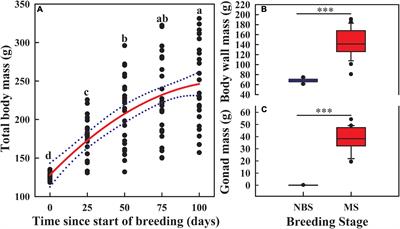 Plasticity of Locomotor Activity Permits Energy Homeostasis During Reproduction in a Female Sea Cucumber